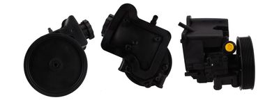 Hydraulic Pump, steering DRI 715521380