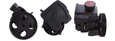 Hydraulic Pump, steering DRI 715521383