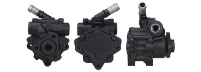 Hydraulic Pump, steering DRI 715521397