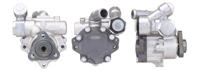 Hydraulic Pump, steering DRI 715521398