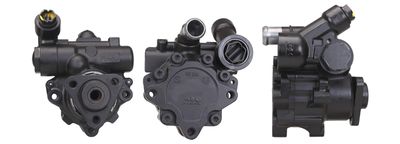 Hydraulic Pump, steering DRI 715521413