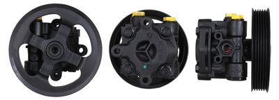 Hydraulic Pump, steering DRI 715521459