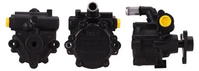 Hydraulic Pump, steering DRI 715521491