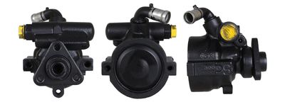 Hydraulic Pump, steering DRI 715521691