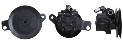 Hydraulic Pump, steering DRI 715521738