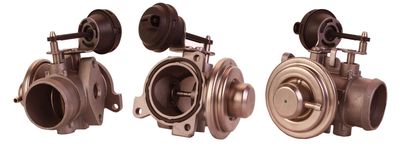 EGR Valve DRI 717710015