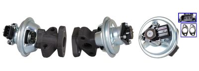 EGR Valve DRI 717710265