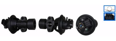 EGR Valve DRI 717710306