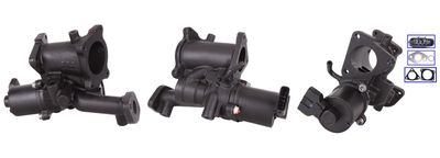 EGR Valve DRI 717720143