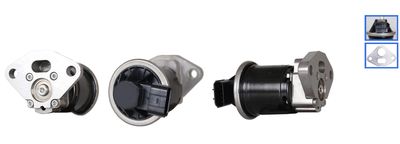 EGR Valve DRI 717720387