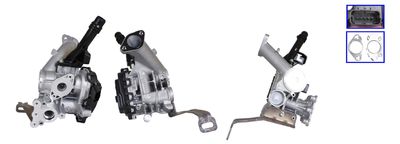 EGR Valve DRI 717730287