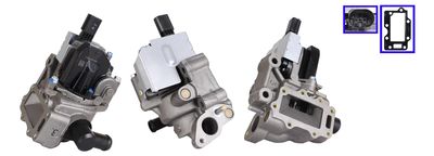 EGR Valve DRI 717730338