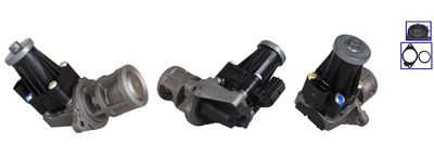 EGR Valve DRI 717730347