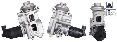 EGR Valve DRI 717730361
