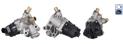 EGR Valve DRI 717730406