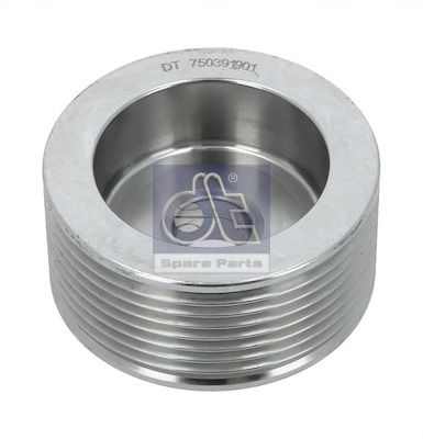 DT Spare Parts 1.21342 Belt Pulley, alternator