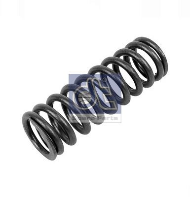 Valve Spring DT Spare Parts 2.10275