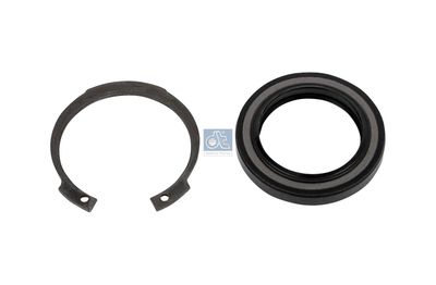 Repair Kit, steering gear DT Spare Parts 4.90919