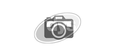 DYS 27-27393 Ball Joint