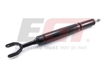 Shock Absorber EGT 383705EGT