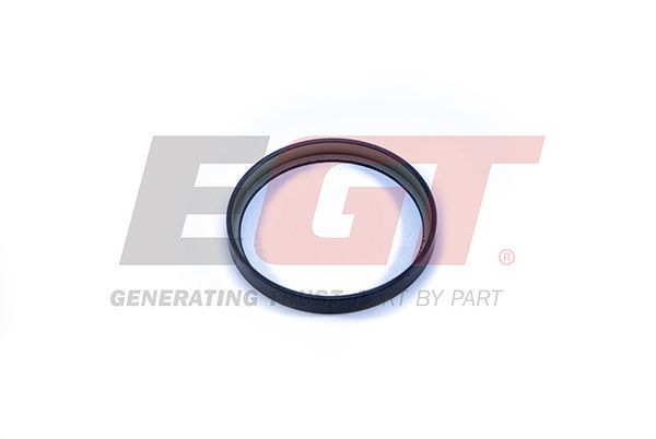 EGT 691461EGT Sensor Ring, ABS