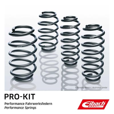 Suspension Set, springs EIBACH E10-20-046-02-22