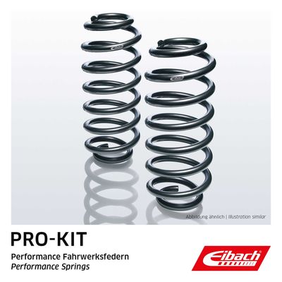 Suspension Set, springs EIBACH E10-84-019-01-20