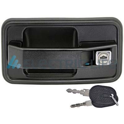 Exterior Door Handle Electric Life ZR80349