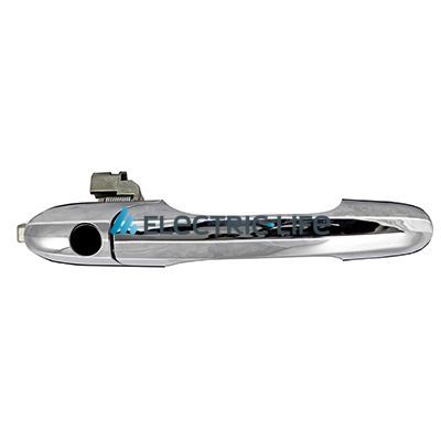 Exterior Door Handle Electric Life ZR80605