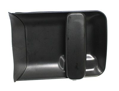 Exterior Door Handle Electric Life ZR80695