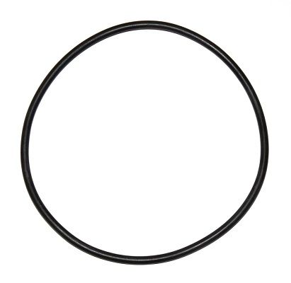 ELRING 000.924 Seal Ring