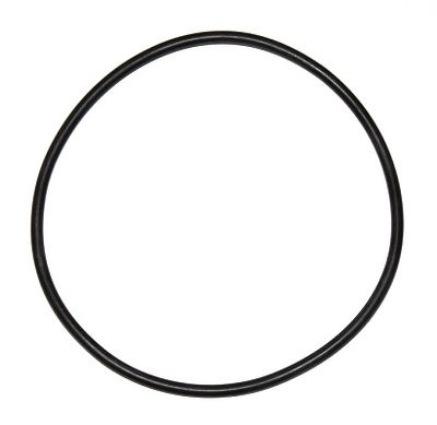 Seal Ring ELRING 000.924