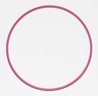 ELRING 003.881 Seal Ring