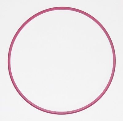Seal Ring ELRING 003.881
