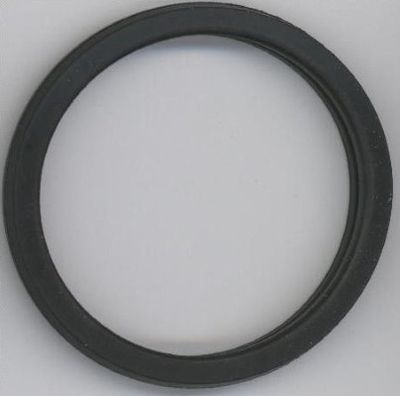 Seal Ring ELRING 027.450