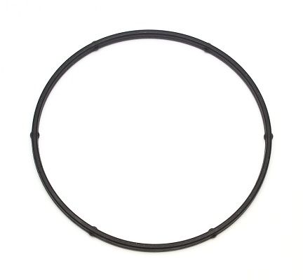 ELRING 104.200 Seal Ring