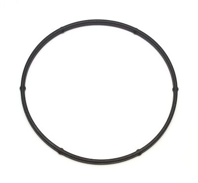 Seal Ring ELRING 104.200