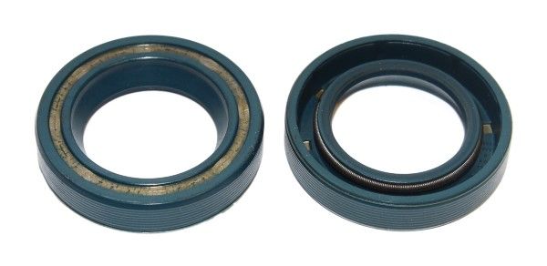 ELRING 120.103 Seal Ring