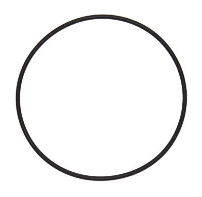 Seal Ring ELRING 126.010