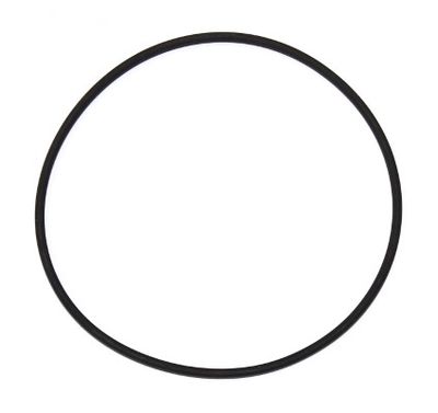 Seal Ring ELRING 152.230