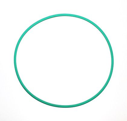 ELRING 244.848 Seal Ring
