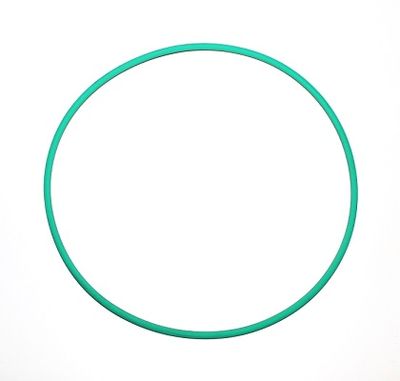 Seal Ring ELRING 244.848