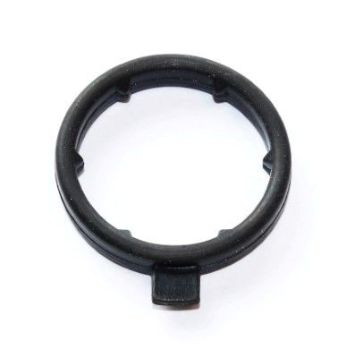 Gasket, coolant flange ELRING 248.230