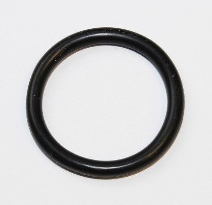 ELRING 255.550 Seal Ring