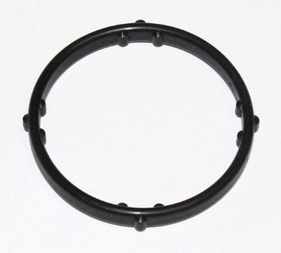 Seal, coolant pipe ELRING 273.760
