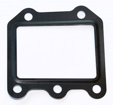 ELRING 295.490 Gasket, EGR valve