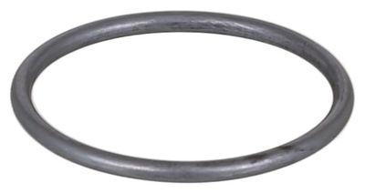 Seal Ring ELRING 339.480