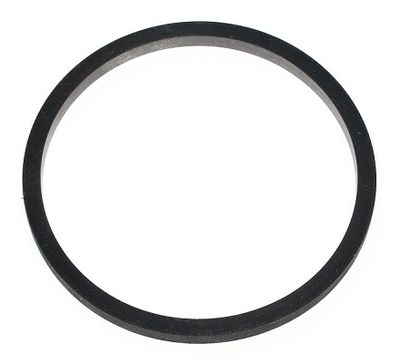 Seal Ring ELRING 366.310