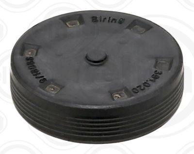 Locking Cover, camshaft ELRING 391.020