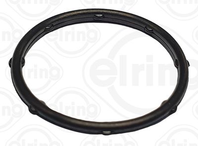 Seal Ring, water pump ELRING 453.260